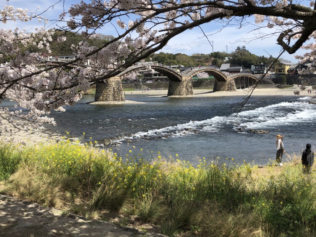 春の錦帯橋