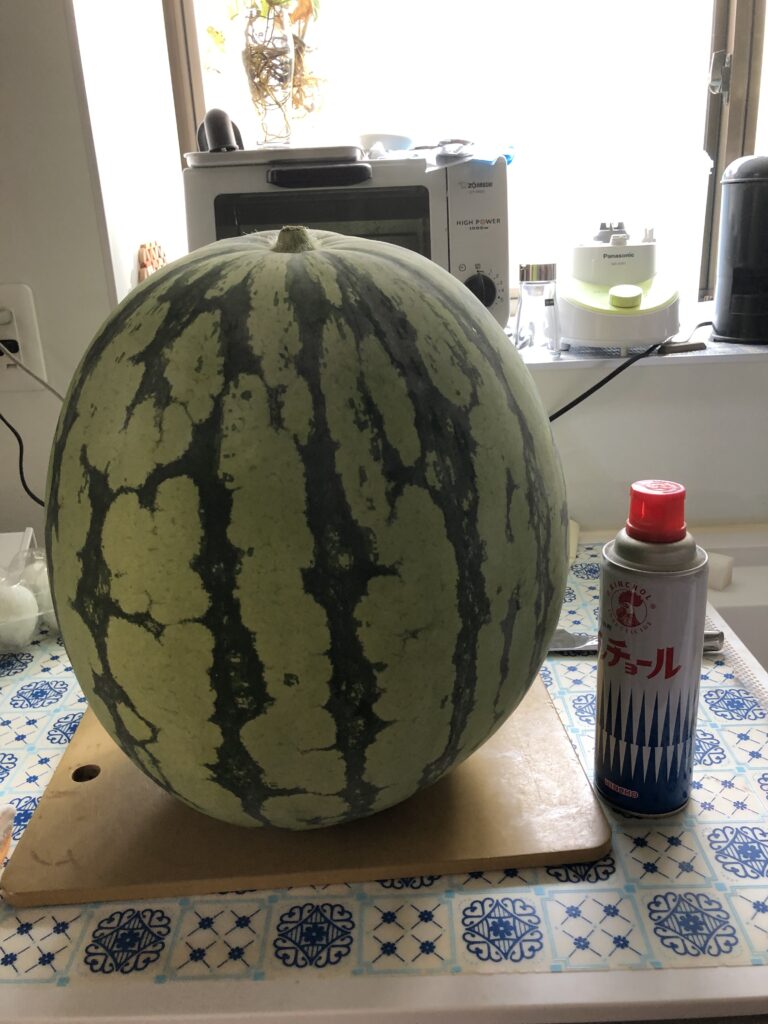 20キロ　スイカ