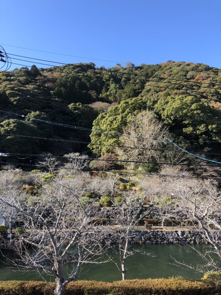 大雪の日　15度