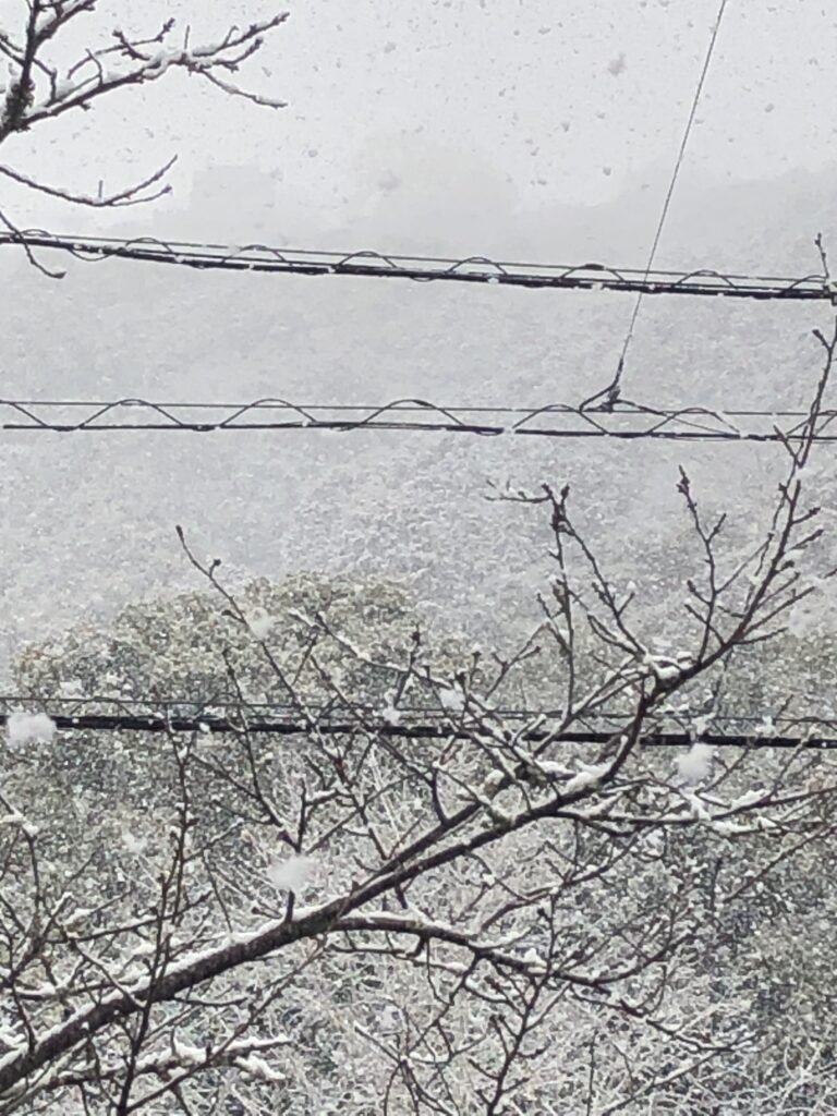 今年2回目の寒波